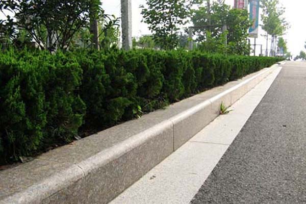 標準路沿
